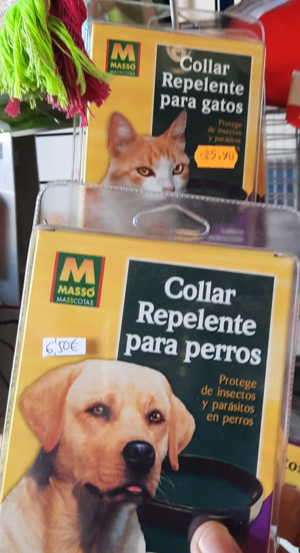 Accesorios para Perros y Gatos – Collares, Comederos, Juguetes y Más - Imagen 3